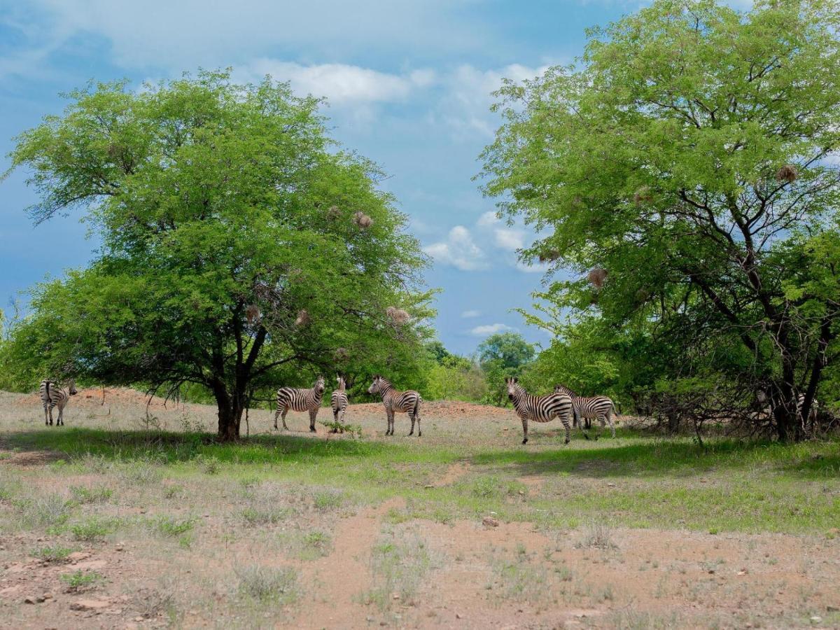 Bushbuck River House Villa Livingstone Exterior photo